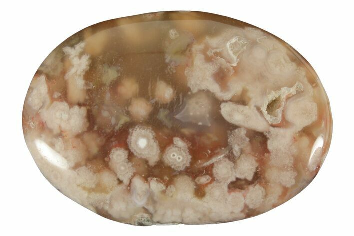 Polished Flower Agate Palm Stone - Madagascar #226851